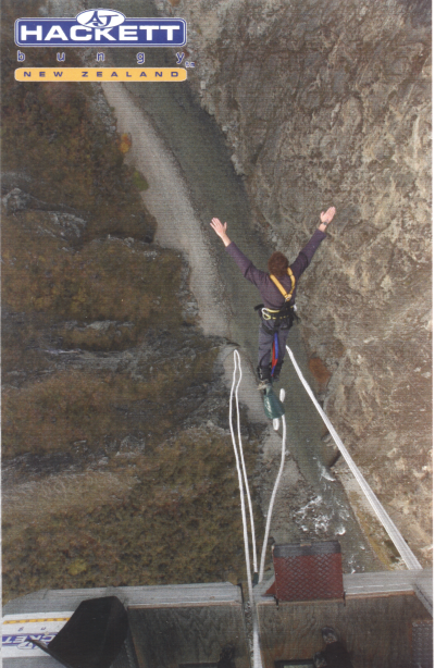 nevis_bungee_may_04.png