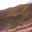 Tongariro12.jpg