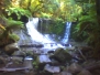 Tasmania Pics